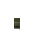 Modular Vinyl Storage 381 in Olive Green